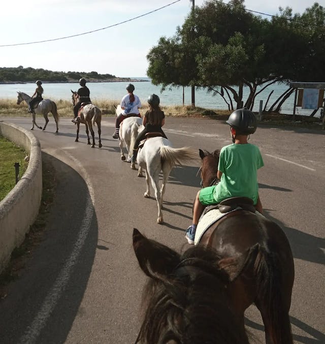 Corfu Arena Horse Riding