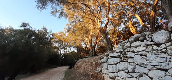 Walking the Corfu Trail - Anna Aperghi
