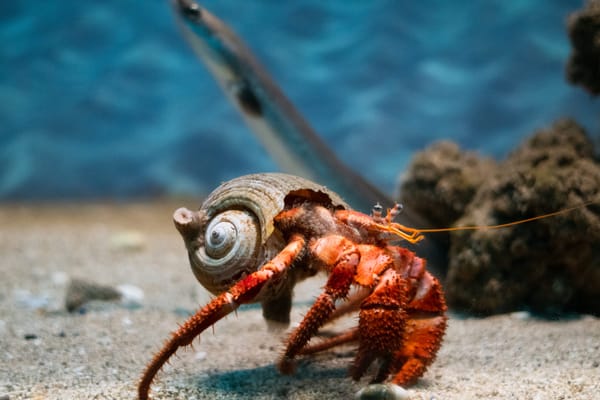 Corfu Aquarium